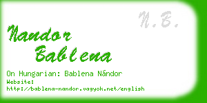 nandor bablena business card